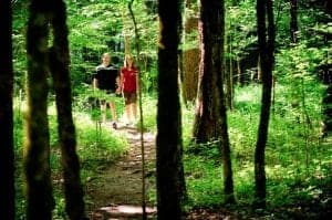 Hiking trails in Smoky Mountains