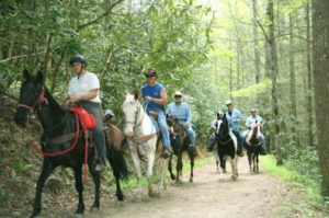Horseback riding in Great Smoky Mountains National Park
