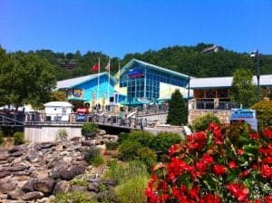 Ripley's Aquarium of the Smokies in Gatlinburg Tennessee
