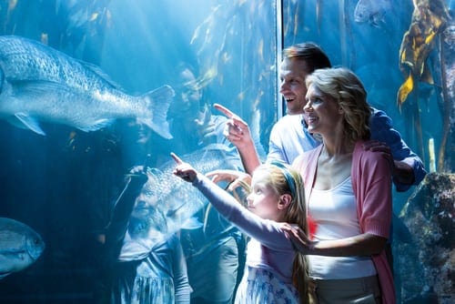 Family enjoying aquarium with discount tickets to Gatlinburg attractions